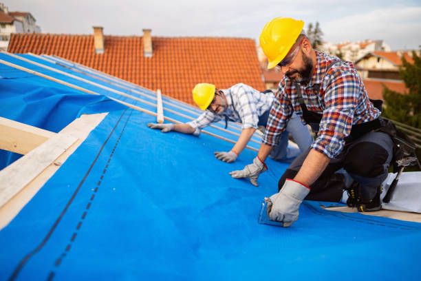 Best Roof Insulation Installation  in North Plymouth, MA